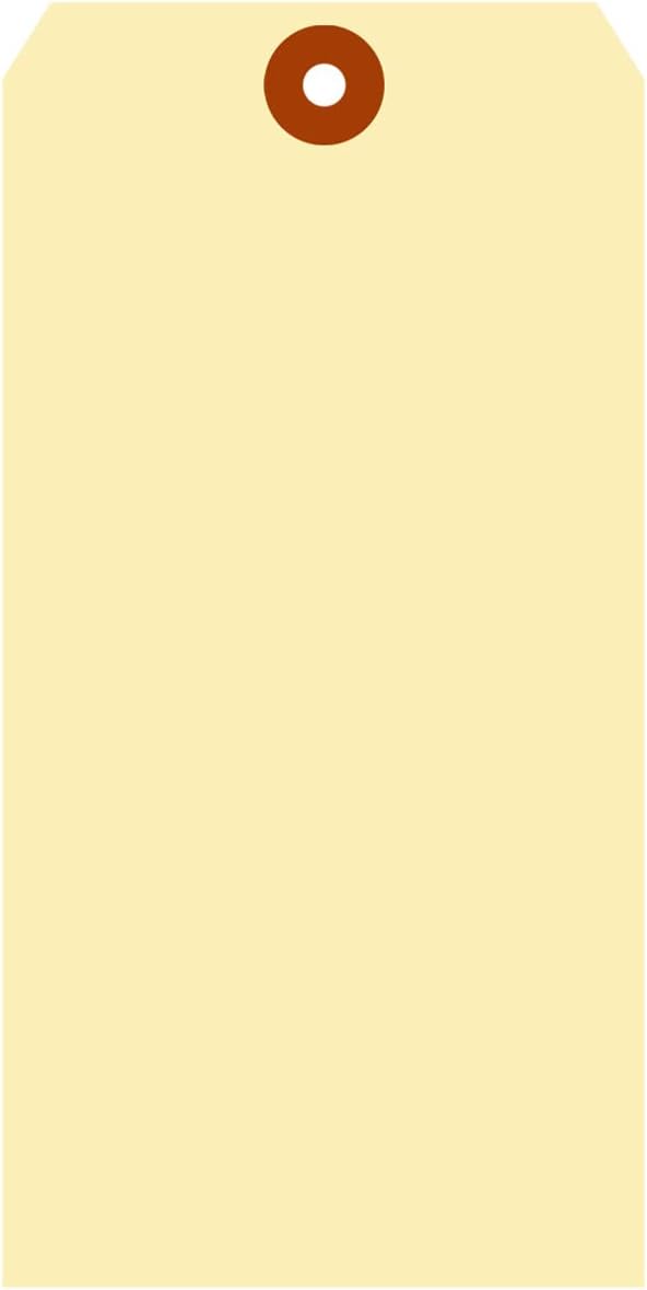 SmartSign Blank Manila Shipping Tags - Pack of 100, Size-10, 15pt Thick Cardstock Tag, 7.25 x 3.625 inch Paper Hang Tags with Reinforced Fiber Patch (No Attachment)