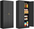 Polup 60" Black Metal Kitchen Pantry Storage Cabinet with Doors and Shelves