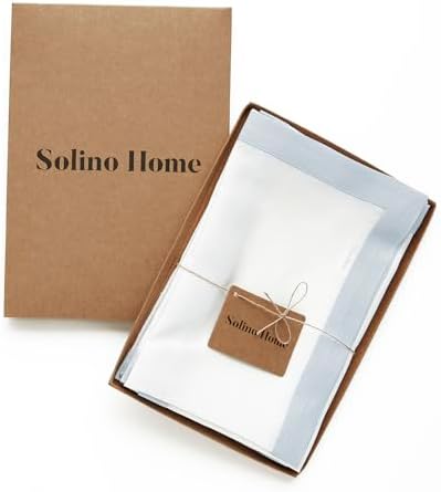 Solino Home 100% Linen Napkins, 20 x 20 in, Blue and White Border, Set of 4