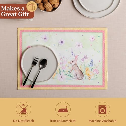 Maison d' Hermine Placemats Set of 4 Reusable 100% Cotton (13"x19")