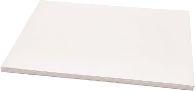 VEVOR Fryer Filter Paper 100-Pack, Oil Filter Paper 25.7" x 16.9", Suitable for 55L-58L Mobile Fryer Filtration Units, Ideal for Restaurants, Fast Food Outlets, and Festival Food Booths