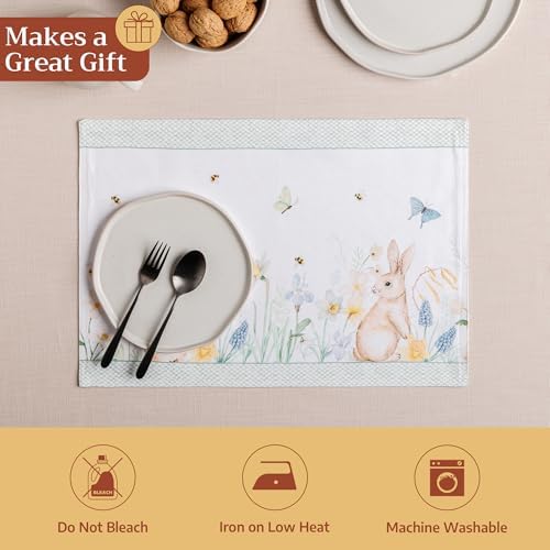 Maison d' Hermine Placemats Set of 4 Reusable 100% Cotton (13"x19")