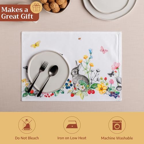 Maison d' Hermine Placemats Set of 4 Reusable 100% Cotton (13"x19")