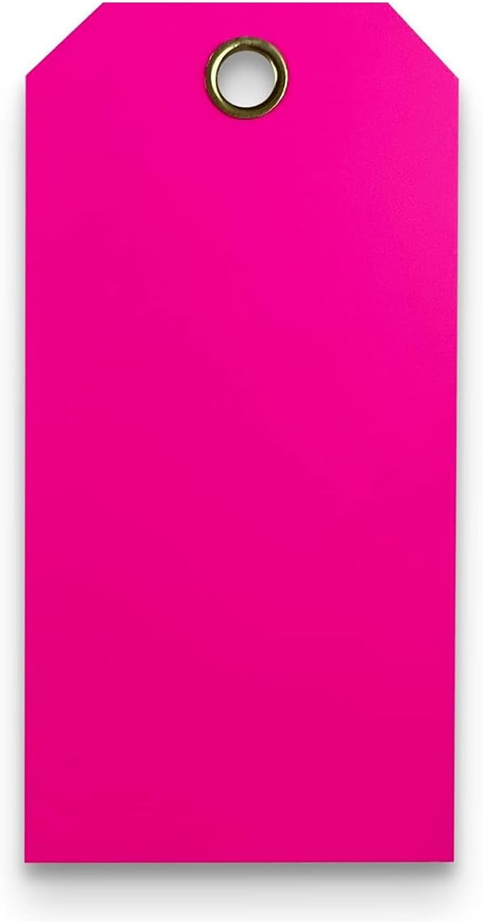 Tags 4 Less 15 Mil Waterproof Plastic Tags, Pack of 100 – 4” x 8” Heavy Duty Plastic Tags for Labeling, Outdoor Tagging, Equipment Labeling, Luggage, Valves & More (Fluorescent Pink)