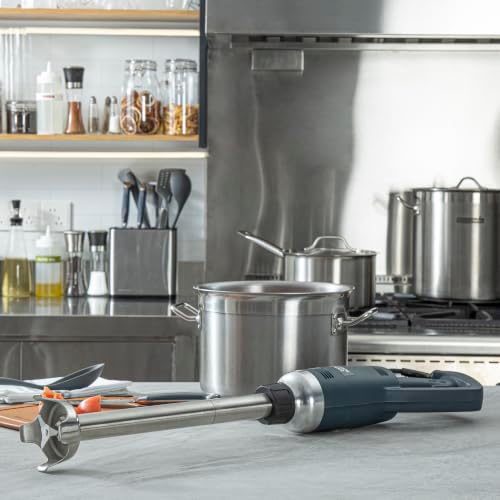 Restaurantware 1/2 HP Immersion Blender, 16 In Shaft, Variable Speed, 1 Ct