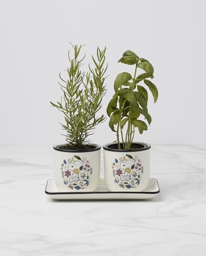 Lenox Chef Snoopy 3-Piece Herb Planter Set - Image 4