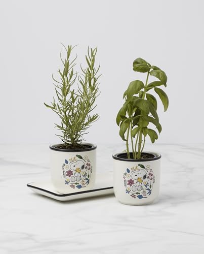 Lenox Chef Snoopy 3-Piece Herb Planter Set - Image 5