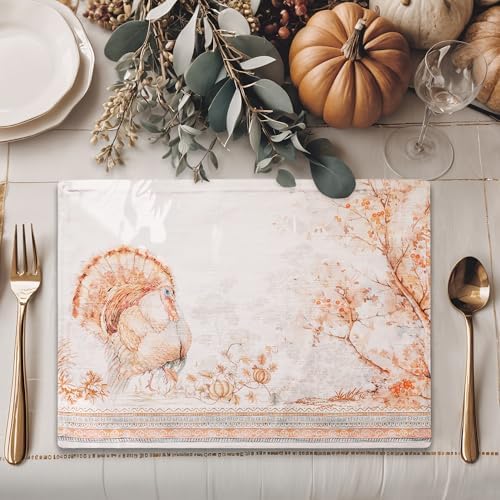 Maison d' Hermine Placemats Set of 4 Reusable 100% Cotton (13"x19")