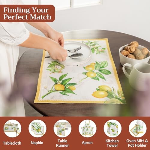 Maison d' Hermine Placemats Set of 4 Reusable 100% Cotton (13"x19")