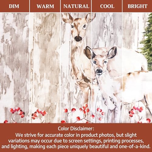 Maison d' Hermine Placemats Set of 4 Reusable 100% Cotton (13"x19")