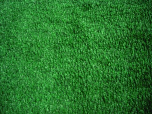 Guardian 94062040 Platinum Series Indoor Wiper Floor Mat, Rubber with Nylon Carpet, 6'x20', Green