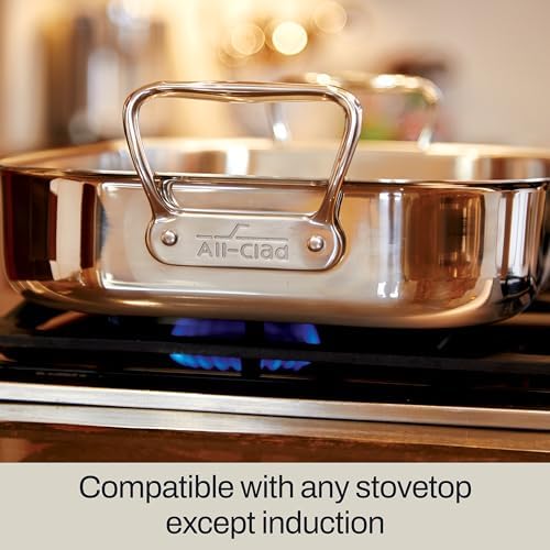 All-Clad Specialty Stainless Steel, 13" x 16" Roaster with rack