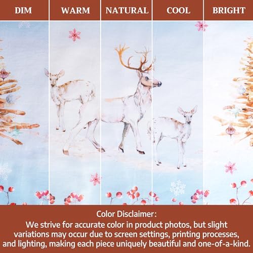 Maison d' Hermine Placemats Set of 4 Reusable 100% Cotton (13"x19")
