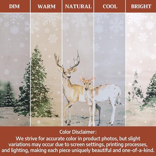 Maison d' Hermine Placemats Set of 4 Reusable 100% Cotton (13"x19")