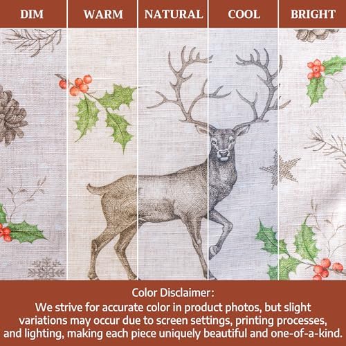 Maison d' Hermine Placemats Set of 4 Reusable 100% Cotton (13"x19")