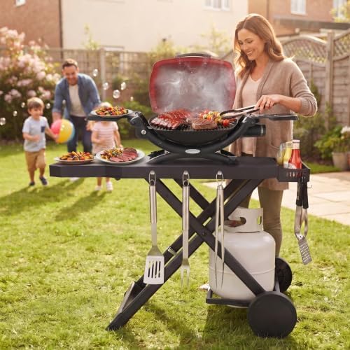 Grill Cart for Weber Q1200 Q1000 Q2200 Q2400, Portable Grill Stand