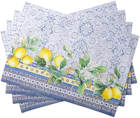 Maison d' Hermine Placemats Set of 4 Reusable 100% Cotton (13"x19")