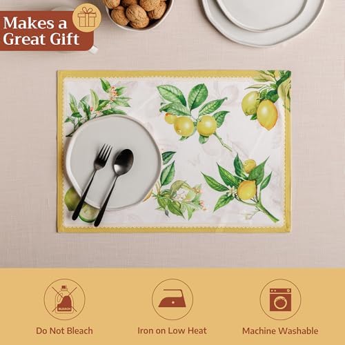 Maison d' Hermine Placemats Set of 4 Reusable 100% Cotton (13"x19")