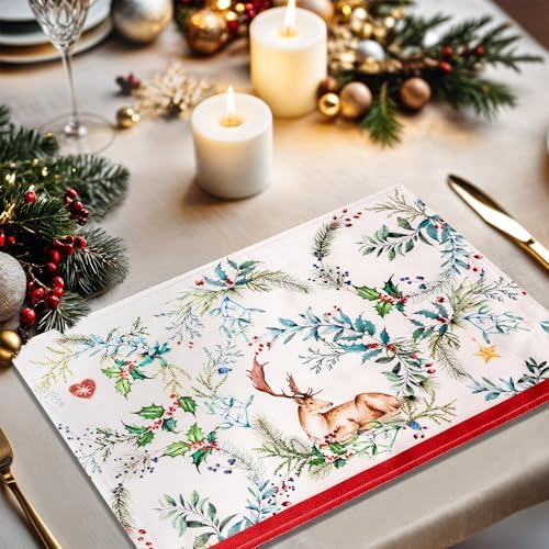 Maison d' Hermine Placemats Set of 4 Reusable 100% Cotton (13"x19")