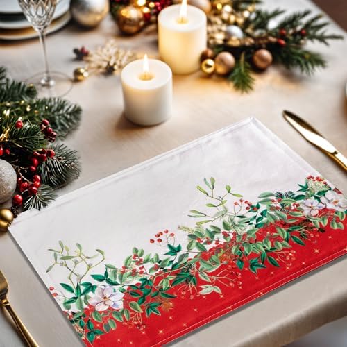 Maison d' Hermine Placemats Set of 4 Reusable 100% Cotton (13"x19")