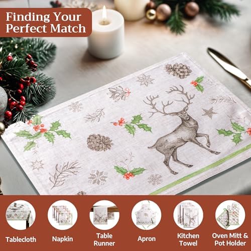 Maison d' Hermine Placemats Set of 4 Reusable 100% Cotton (13"x19")