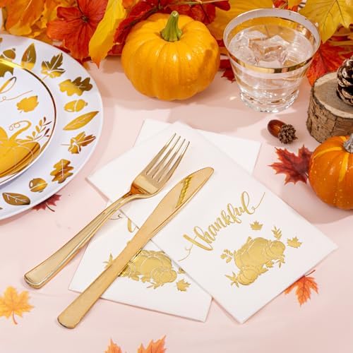 Festiva 176Pcs Thanksgiving Plastic Plates - Heavy Duty Thanksgiving Plates - Thanksgiving Disposable Dinnerware Set include 50 Plates,75 Silverware, 25 Cups, 25 Pumpkins Napkins, 1Tablecloth