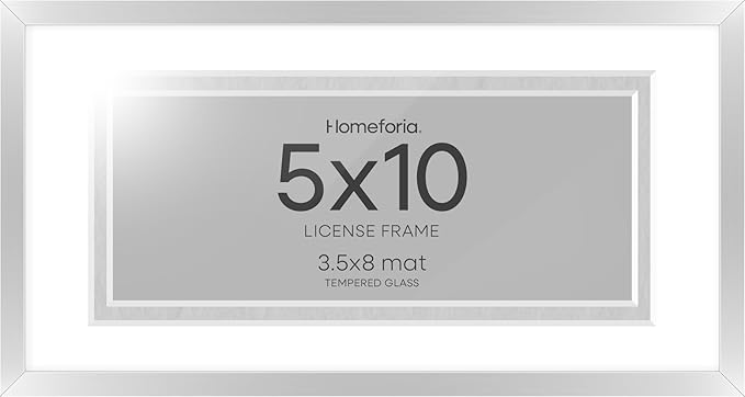 Homeforia 5x10 Business License Frame Silver, High End Metal 5 x 10 Document Certificate Frames with Mat 4x9, 5by10 Professional License Frames for Wall or Tabletop, Tempered Glass, Wall Kit, Set of 1