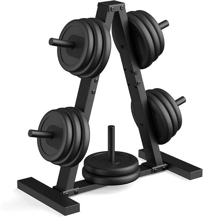 Weight Plate Rack, Weight Tree, 1-Inch Home Gym Storage Stand, Holds 300 lbs