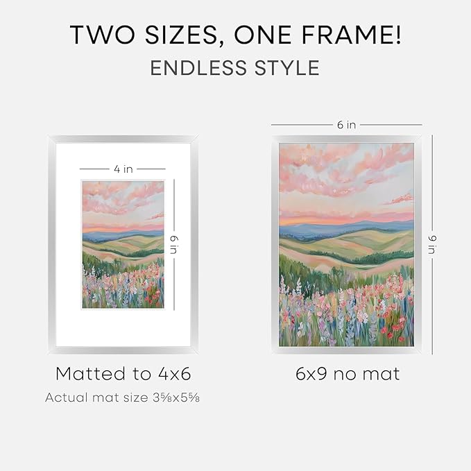 Homeforia Silver Photo Frame 6x9, High End Metal 6 x 9 Silver Picture Frames with Mat 4 x 6, 6by9 Desk Frame Matted to 4x6 inch Print, 6 by 9 Wall or Tabletop Frames, Tempered Glass, Wall Kit, Set of 2