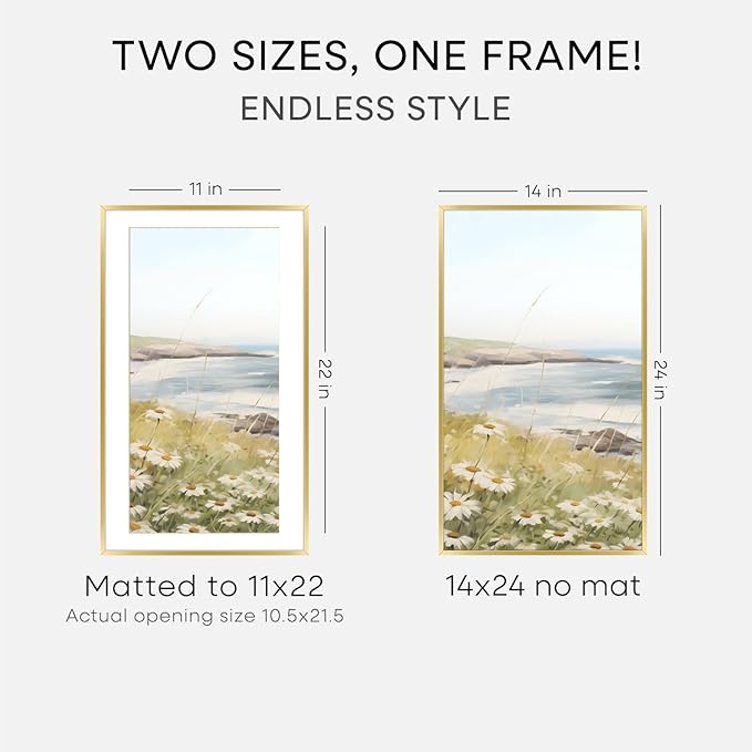 Homeforia 14x24 Picture Frame Gold, High End Metal 14x24 Poster Frames with Mat 11x22 Photo, 14 x 24 Gold Frame Matted to 11 by 22 Print, 24by14 Thin Hanging Frames, Tempered Glass, Wall Kit, Set of 1