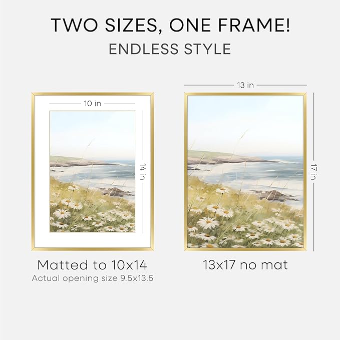 Homeforia 13x17 Picture Frame Gold, High End Metal 13x17 Poster Frames with Mat 10x14 Photo, 13 x 17 Gold Frame Matted to 10 by 14 Print, 17by13 Thin Hanging Frames, Tempered Glass, Wall Kit, Set of 1