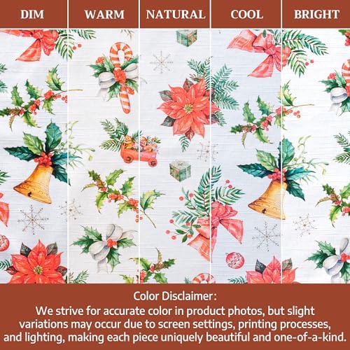 Maison d' Hermine Placemats Set of 4 Reusable 100% Cotton (13"x19")