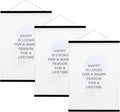 FALAMON 3 Pack Magnetic Poster Hanger Frame, 18x24 18x26 18x28 Magnet Poster Frame for Posters, Prints, Photos, Pictures, Maps, Scrolls, and Canvas Artwork (Black, 18")