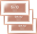 Homeforia 5x10 Rose Gold Business License Frame, High End Metal 5 x 10 Document Certificate Frame with Mat 4x9, 10x5 Cosmetology License Frames for Wall or Tabletop, Tempered Glass, Wall Kit, Set of 3