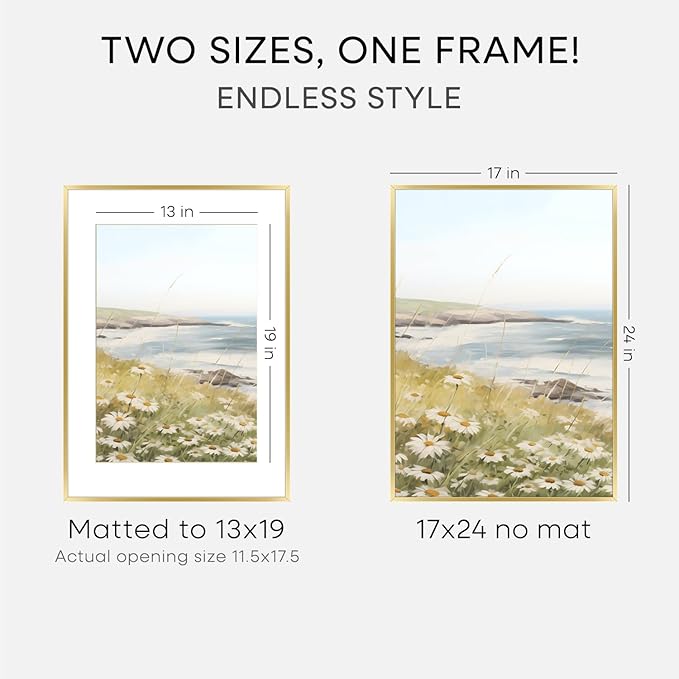 Homeforia 17x24 Picture Frame Gold, High End Metal 17x24 Poster Frames with Mat 13x19 Photo, 17 x 24 Gold Frame Matted to 13 by 19 Print, 24by17 Thin Hanging Frames, Tempered Glass, Wall Kit, Set of 2