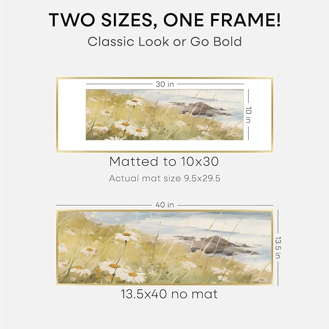Homeforia 13.5x40 Panoramic Frame Gold, High End Metal 13.5x40 Picture Frames with Mat 10x30 Photo, 13.5 x 40 Poster Frames Matted to 10 by 30 Print, 40x13.5 Frames, Tempered Glass, Wall Kit, Set of 1