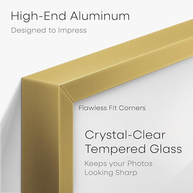 Homeforia 5x10 Business License Frame Gold, High End Metal 5 x 10 Document Certificate Frames with Mat 4x9, 5by10 Professional License Frame for Wall or Tabletop, Tempered Glass, Wall Kit, Set of 1