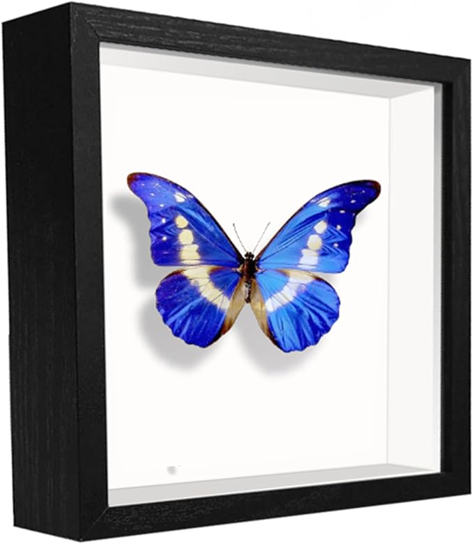 Small Shadow Box Frame 5x5, Wood with Plexiglass, Display Case Box for Memorabilia, Medal, Crafts,Tickets and Photos, Picture Frame for Wall and Tabletop (Black, 5x5)
