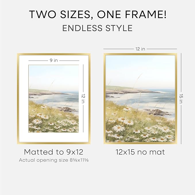 Homeforia 12x15 Picture Frame Gold, High End Metal 12x15 Poster Frames with Mat 9x12 for Photo, 12 x 15 Gold Frame Matted to 9 by 12 Print, 15x12 Thin Hanging Frame, Tempered Glass, Wall Kit, Set of 2