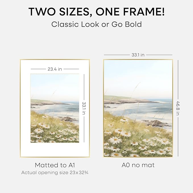 Homeforia A0 Poster Frame Gold, High End Metal 33.1 x 46.8 inches Large Picture Frames with Mat 23.4 x 33.1 for Photo, A0 Size Frames Matted to A1 Print, 33.1x46.8 Thin Frame, Tempered Glass, Set of 2
