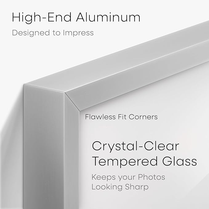 Homeforia 5.5 x 8.5 Business License Frame Silver, High End Metal 5.5x8.5 Certificate Frame, 8.5x5.5 Document Frames for Wall or Tabletop, 5.5 by 8.5 Picture Frames, Tempered Glass, Wall Kit, Set of 1