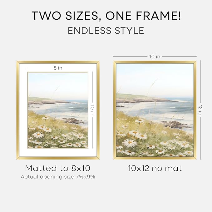 Homeforia 10x12 Picture Frame Gold, High End Metal 10x12 Poster Frames with Mat for 8x10, 10 x 12 Gold Frame Matted to 8 x 10 inch Photo, 10by12 Thin Hanging Frames, Tempered Glass, Wall Kit, Set of 1