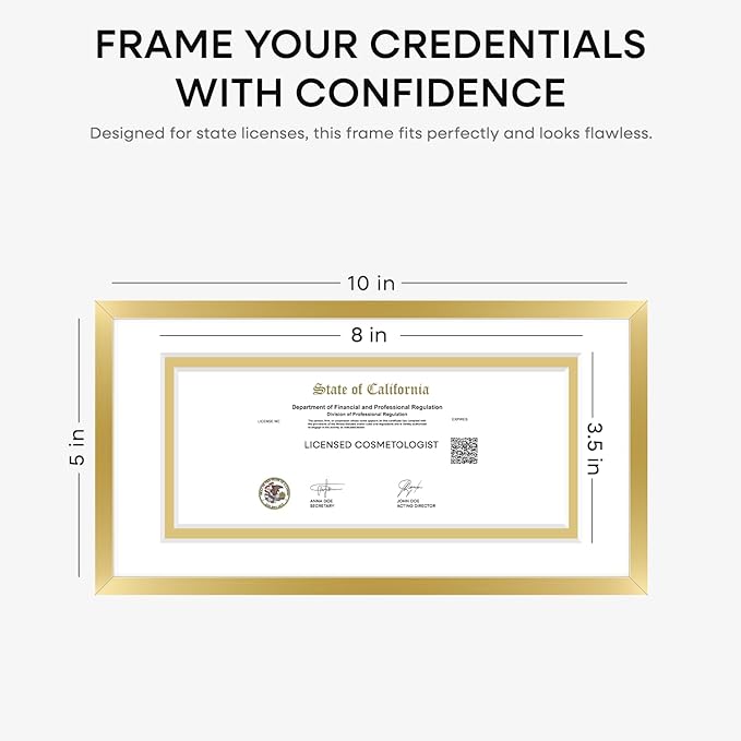 Homeforia 5x10 Business License Frame Gold, High End Metal 5 x 10 Document Certificate Frames with Mat 4x9, 5by10 Professional License Frame for Wall or Tabletop, Tempered Glass, Wall Kit, Set of 1