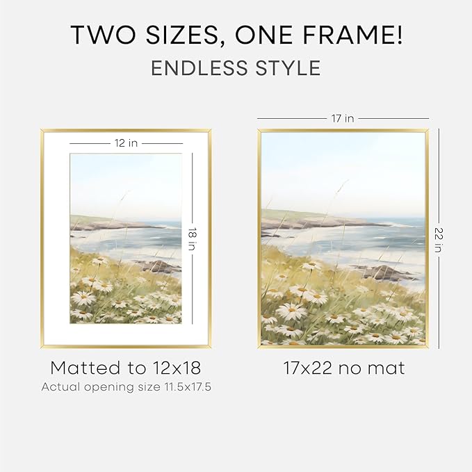 Homeforia 17x22 Picture Frame Gold, High End Metal 17x22 Poster Frames with Mat 12x18 Photo, 17 x 22 Gold Frame Matted to 12 by 18 Print, 22by17 Thin Hanging Frames, Tempered Glass, Wall Kit, Set of 1