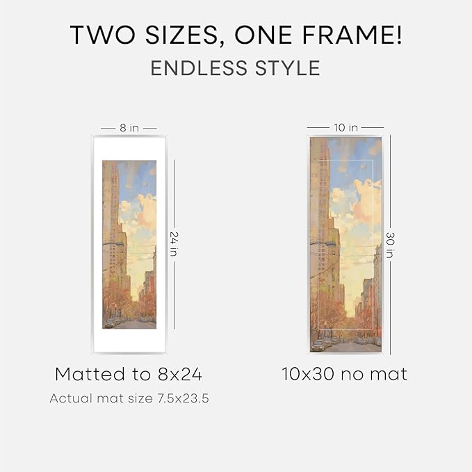 Homeforia 10 x 30 Picture Frame Silver, High End Metal 10x30 Poster Frames with Mat 8x24 Photo, 10 x 30 Silver Frames Matted to 8 x 24 Print, 30by10 Panoramic Frame, Tempered Glass, Wall Kit, Set of 2