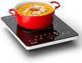 Portable Electric Stove,110V Electric Hot Plate Single Burner Electric Cooktop Countertop Burner with 6 Preset Functions,10 Power Levels,LED Touch Control, Child Lock &Timer