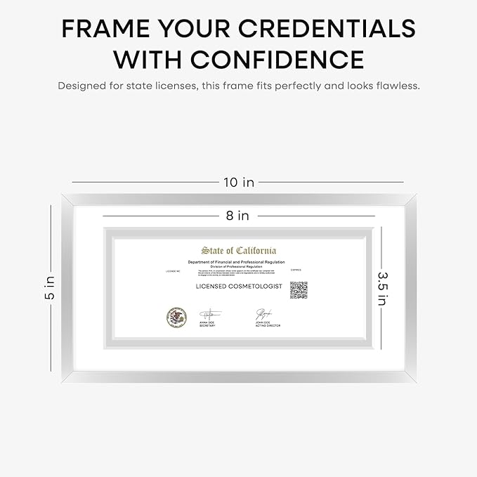 Homeforia 5x10 Business License Frame Silver, High End Metal 5 x 10 Document Certificate Frames with Mat 4x9, 5by10 Professional License Frames for Wall or Tabletop, Tempered Glass, Wall Kit, Set of 1