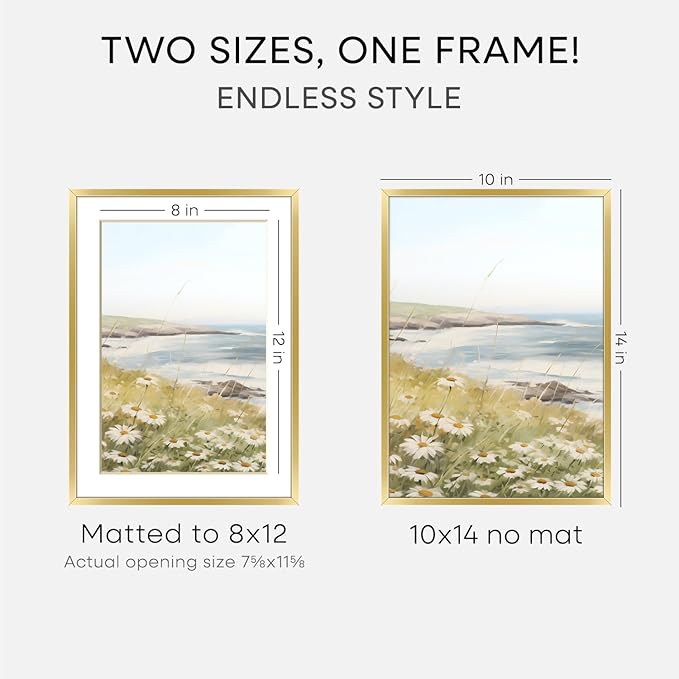 Homeforia 10x14 Picture Frame Gold, High End Metal 10x14 Poster Frames with Mat for 8x12, 10 x 14 Gold Frame Matted to 8 x 12 inch Photo, 10by14 Thin Hanging Frames, Tempered Glass, Wall Kit, Set of 1
