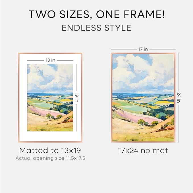 Homeforia 17x24 Picture Frame Rose Gold, High End Metal 17x24 Poster Frames with Mat 13x19 Photo, 17 x 24 Rose Gold Frame Matted to 13 by 19 Print, 24x17 Thin Frame, Tempered Glass, Wall Kit, Set of 1