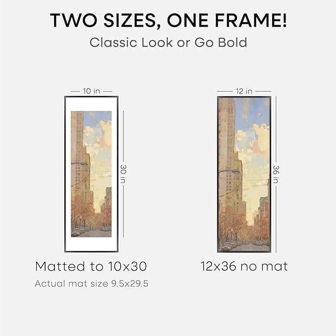Homeforia 12x36 Picture Frame Black, High End Metal 12x36 Poster Frames with Mat 10x30 for Photo, 12 x 36 Black Frame Matted to 10 by 30 Art, 36x12 Panoramic Frames, Tempered Glass, Wall Kit, Set of 2